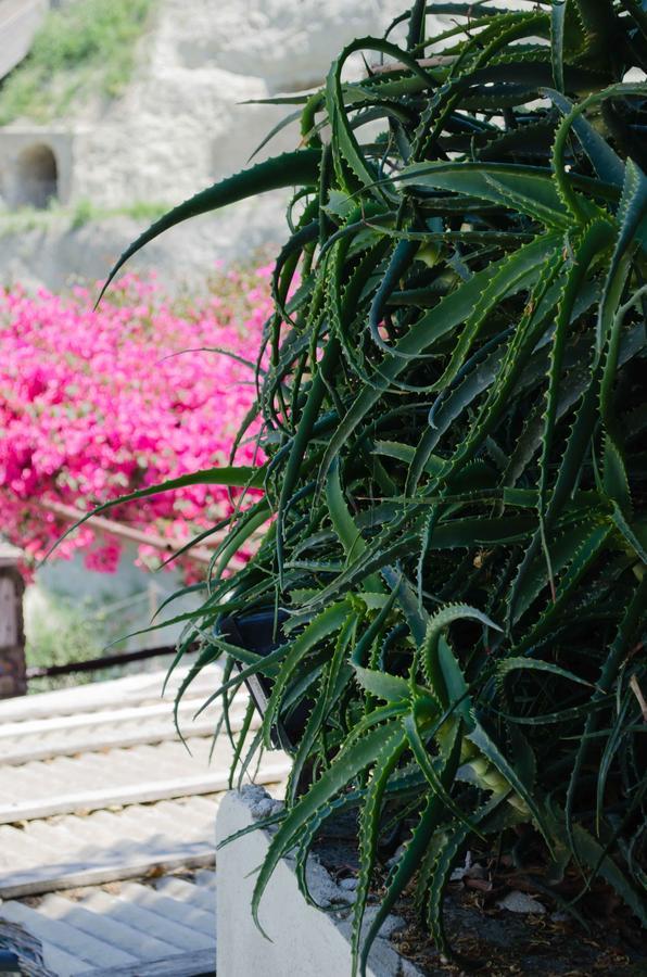 Hotel Angelino Barano d'Ischia Ngoại thất bức ảnh